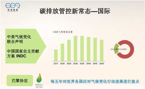 大型控排企業(yè)碳資產管理體系建設與優(yōu)化策略