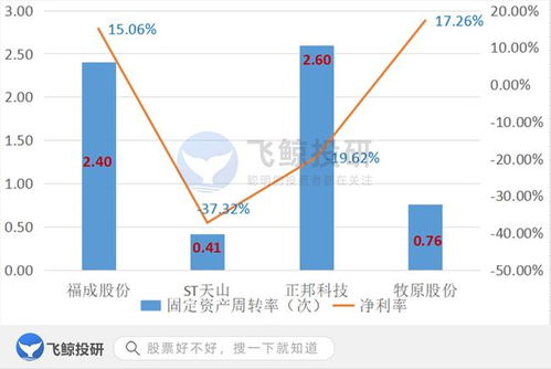 排雷必備 巧用固定資產篩選企業(yè)，優(yōu)化企業(yè)資產管理